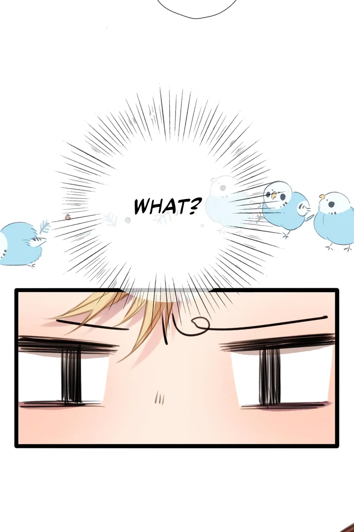 Read Back to Spring Manga Online