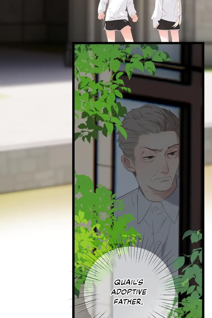 Read Back to Spring Manga Online