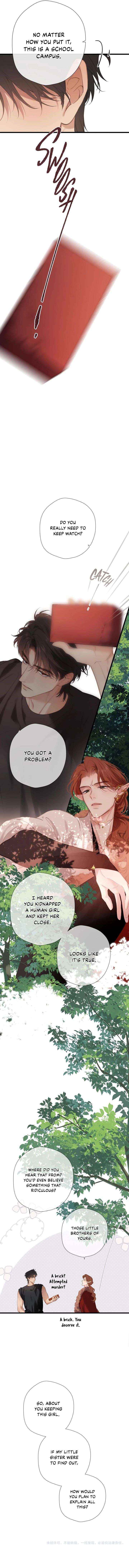 Read Back to Spring Manga Online