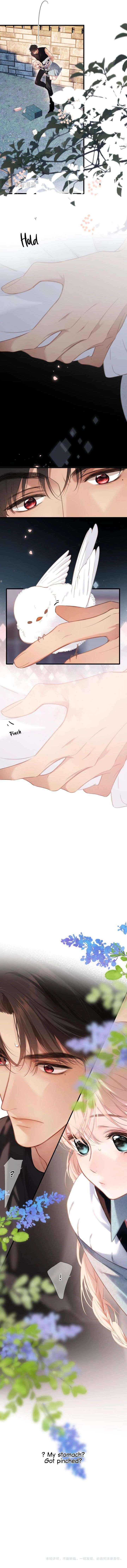 Read Back to Spring Manga Online