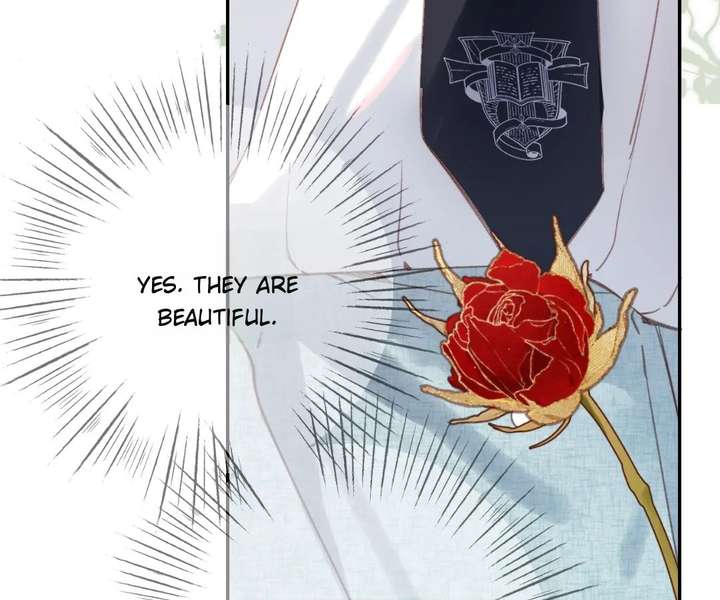 Read Back to Spring Manga Online