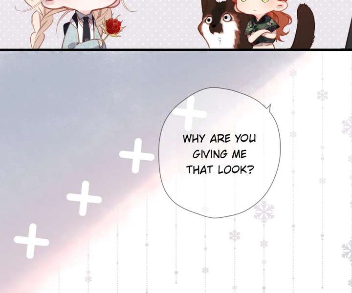 Read Back to Spring Manga Online