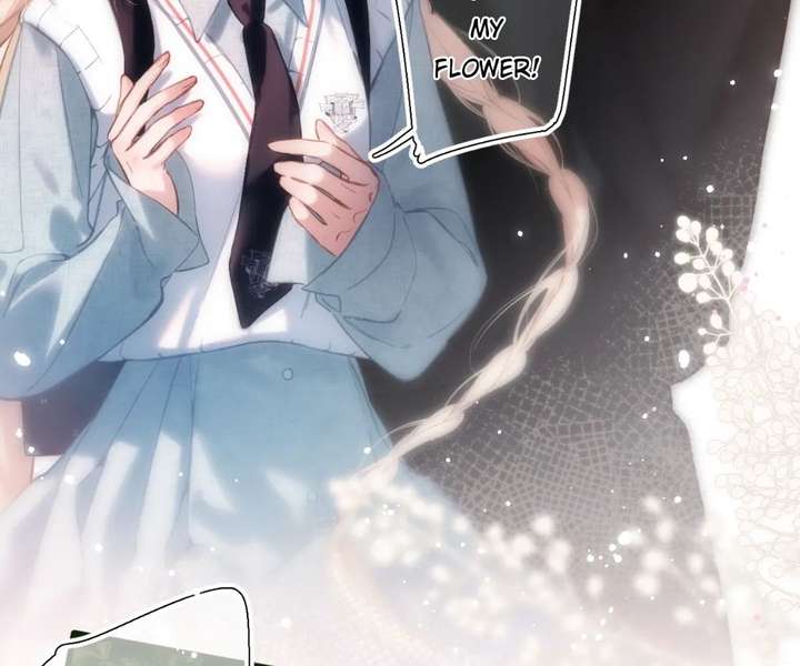 Read Back to Spring Manga Online