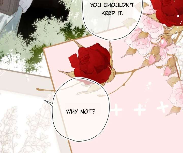 Read Back to Spring Manga Online