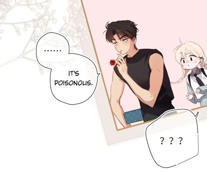 Read Back to Spring Manga Online