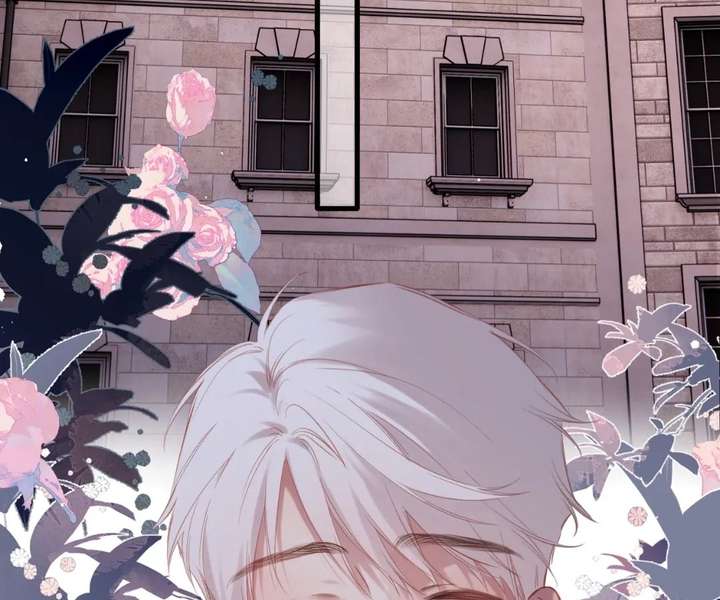 Read Back to Spring Manga Online