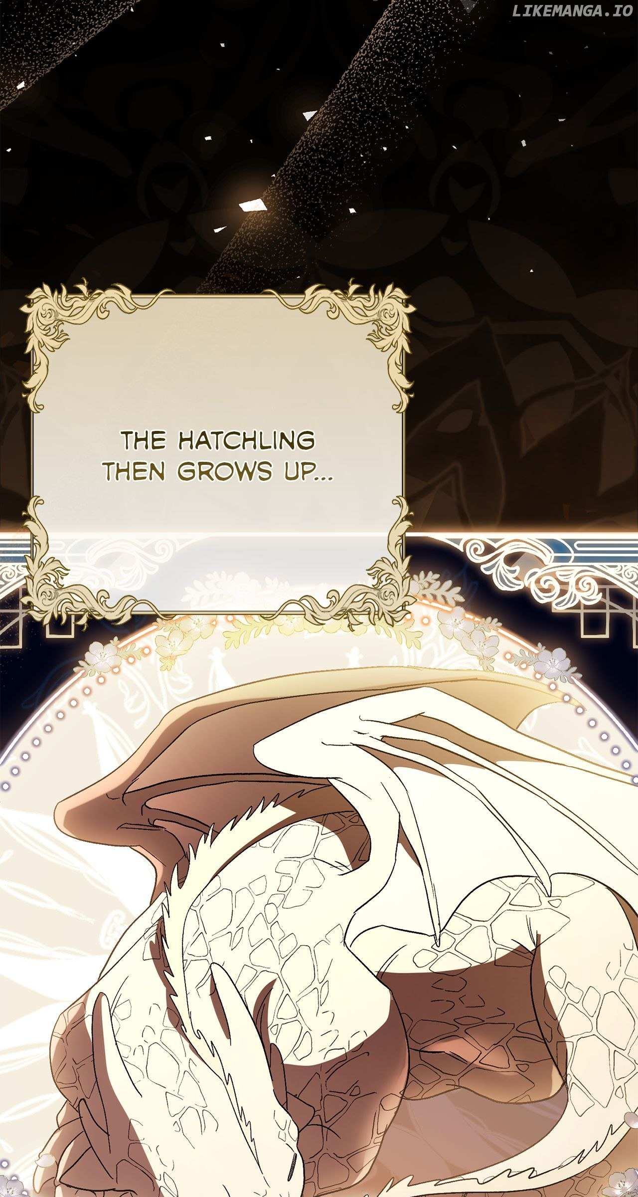 Read Black Chain Manga Online