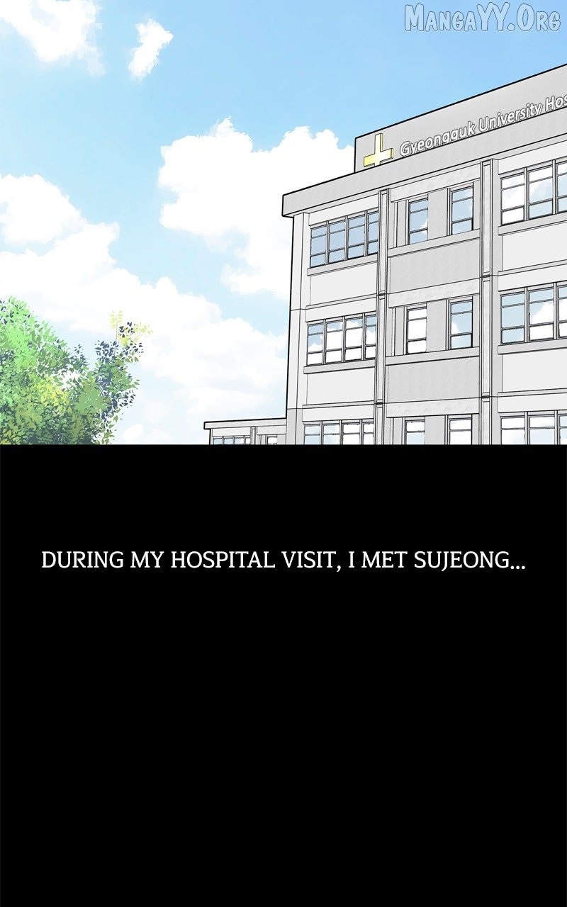 Read Boss Returns Manga Online