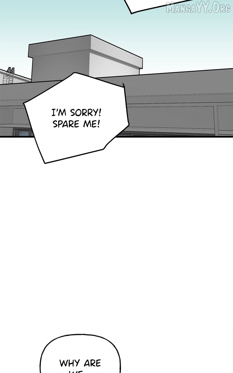 Read Boss Returns Manga Online