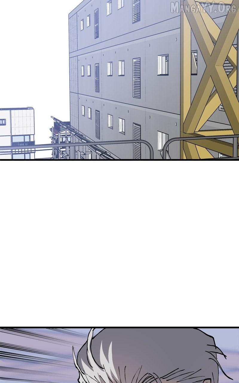 Read Boss Returns Manga Online