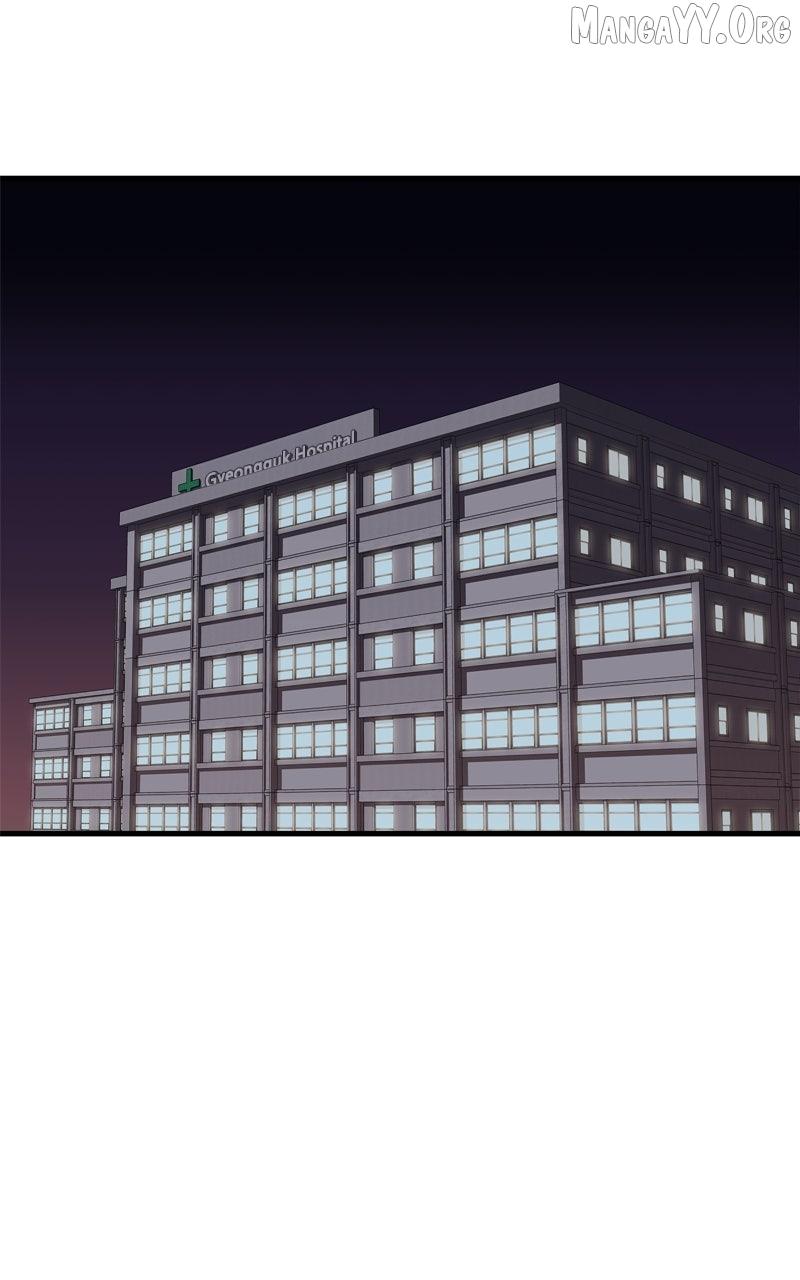 Read Boss Returns Manga Online