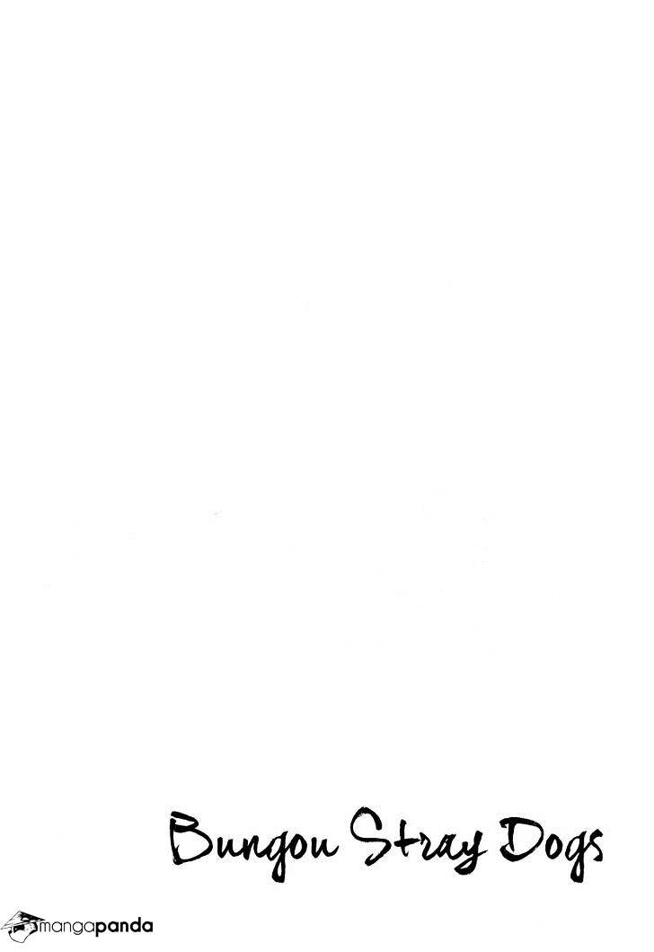 Read Bungou Stray Dogs Manga Online