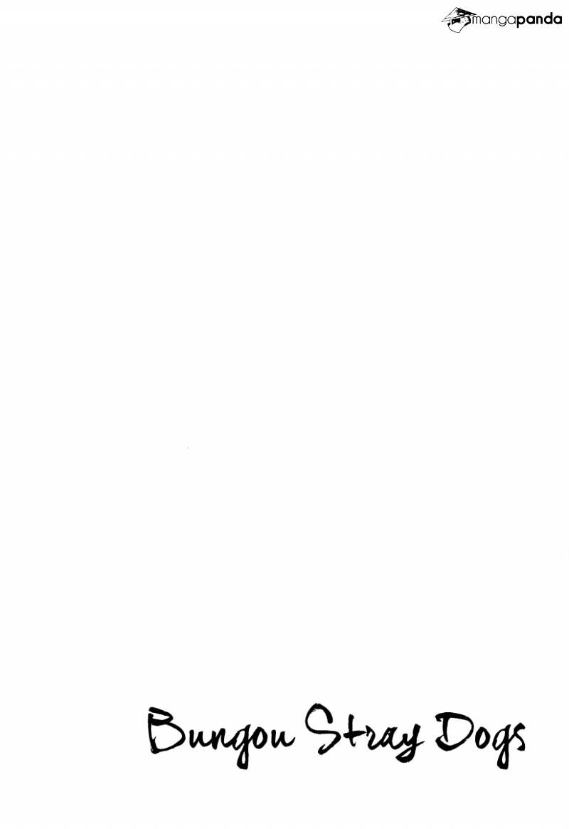 Read Bungou Stray Dogs Manga Online