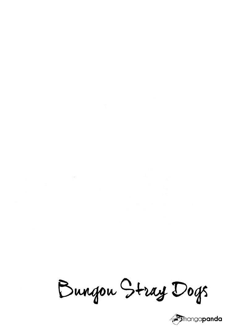 Read Bungou Stray Dogs Manga Online