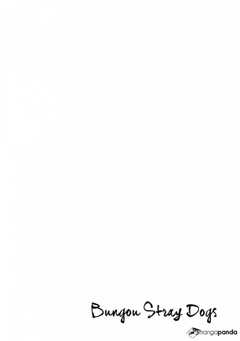 Read Bungou Stray Dogs Manga Online