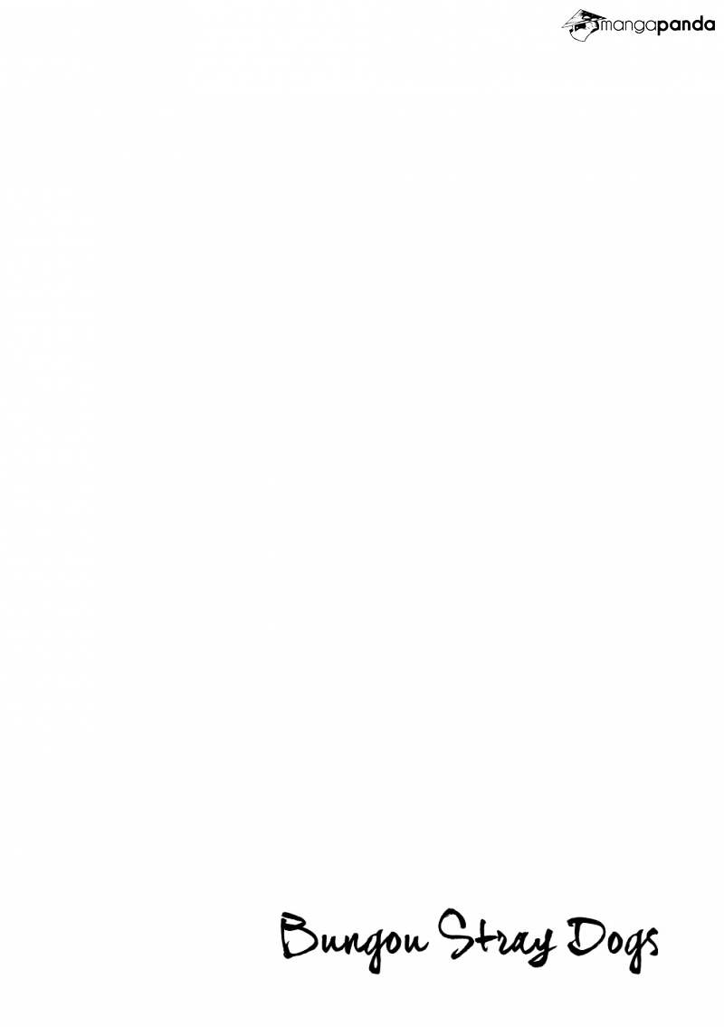 Read Bungou Stray Dogs Manga Online