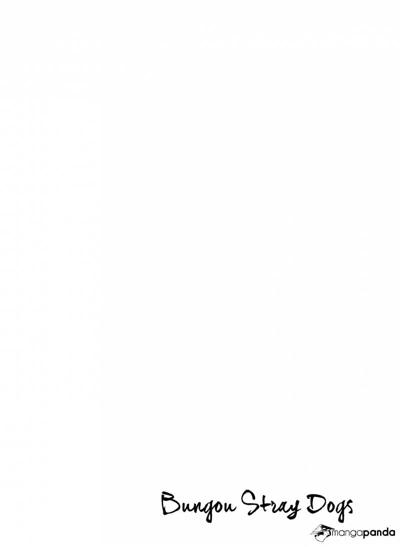 Read Bungou Stray Dogs Manga Online