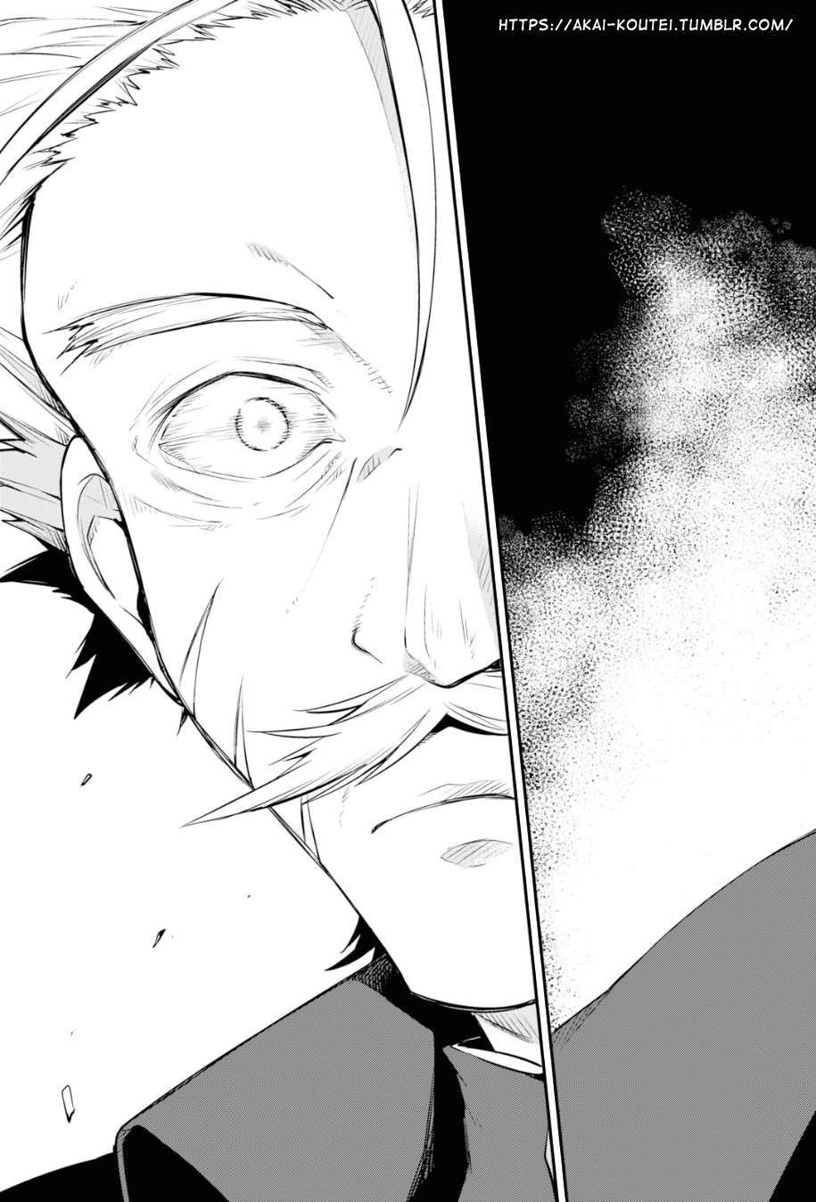 Read Bungou Stray Dogs Manga Online