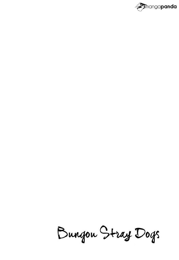 Read Bungou Stray Dogs Manga Online