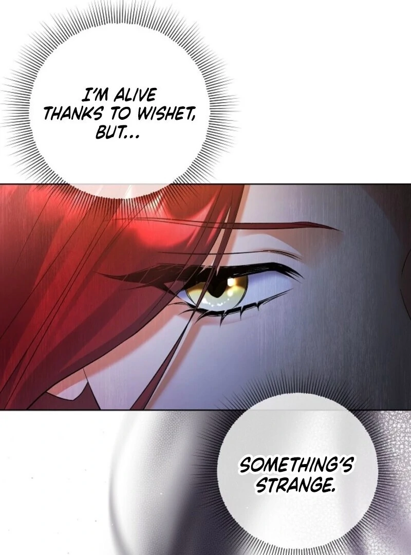 Read Celeb Lady Manga Online