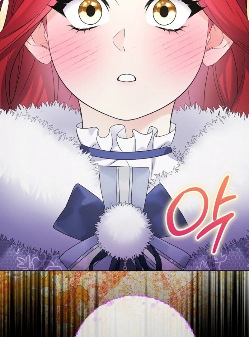 Read Celeb Lady Manga Online