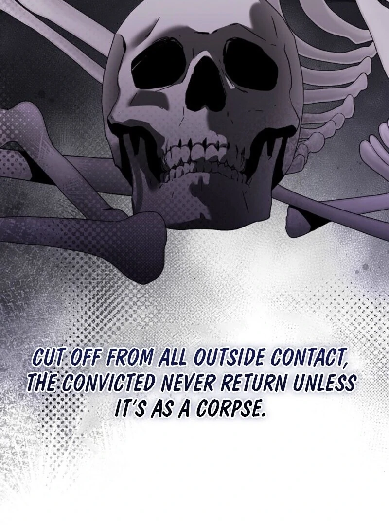 Read Celeb Lady Manga Online