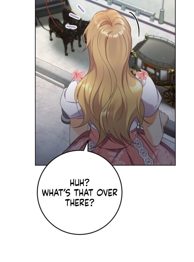 Read Celeb Lady Manga Online