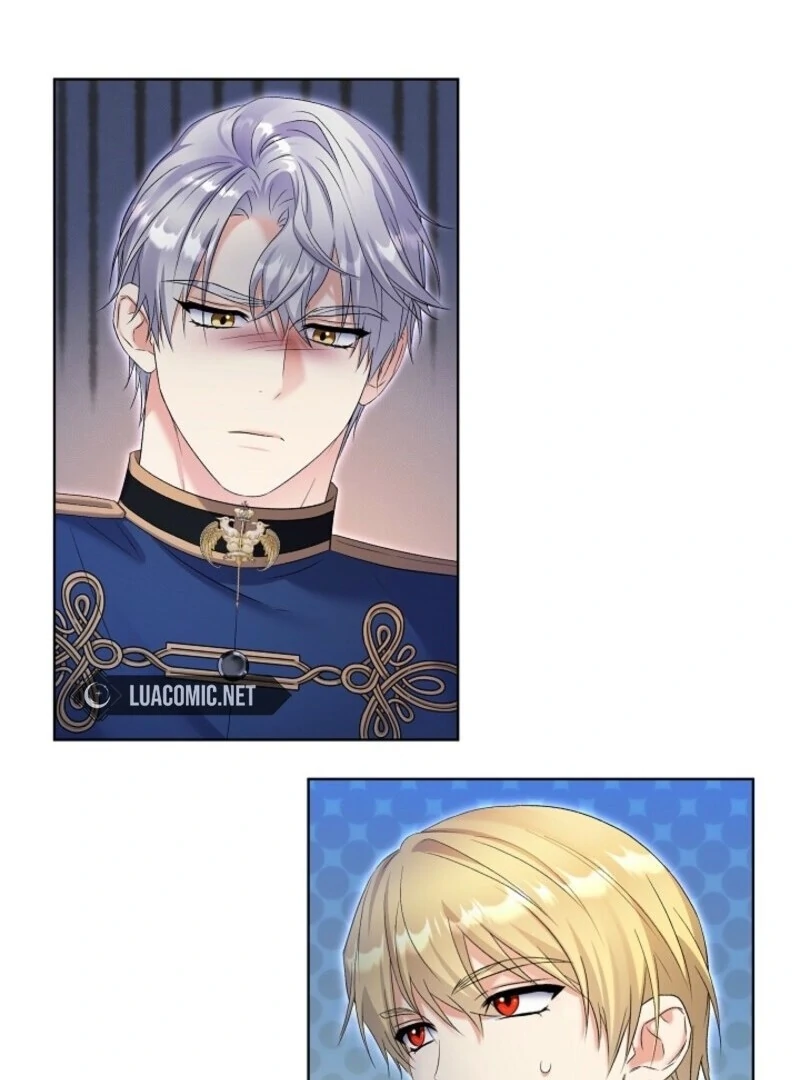 Read Celeb Lady Manga Online