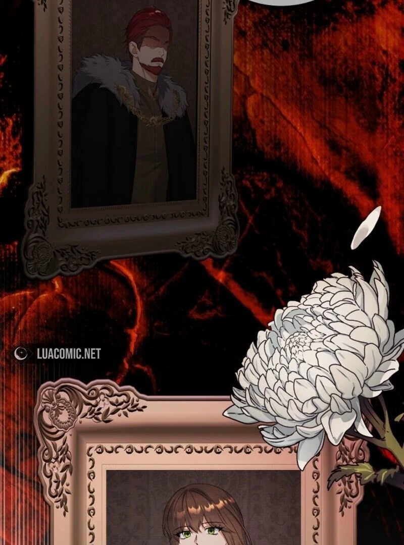 Read Celeb Lady Manga Online