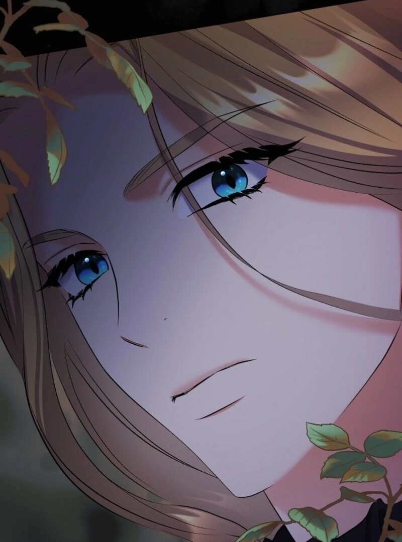 Read Celeb Lady Manga Online