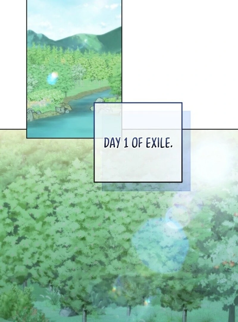 Read Celeb Lady Manga Online