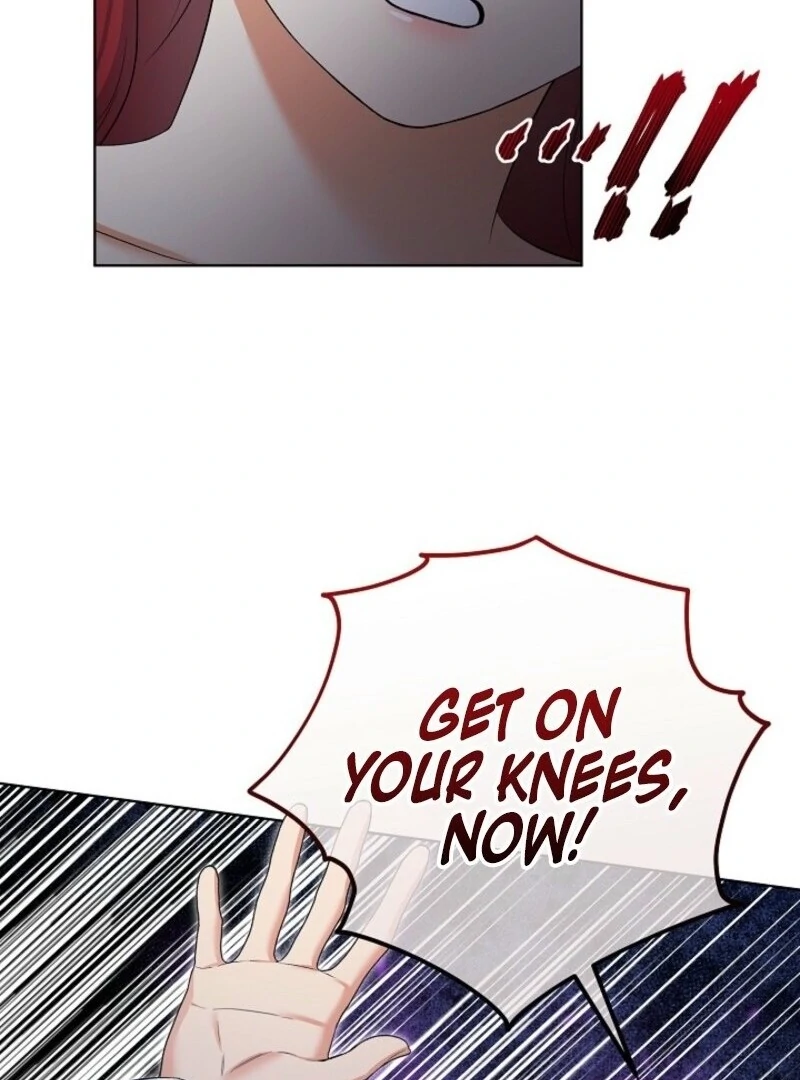 Read Celeb Lady Manga Online