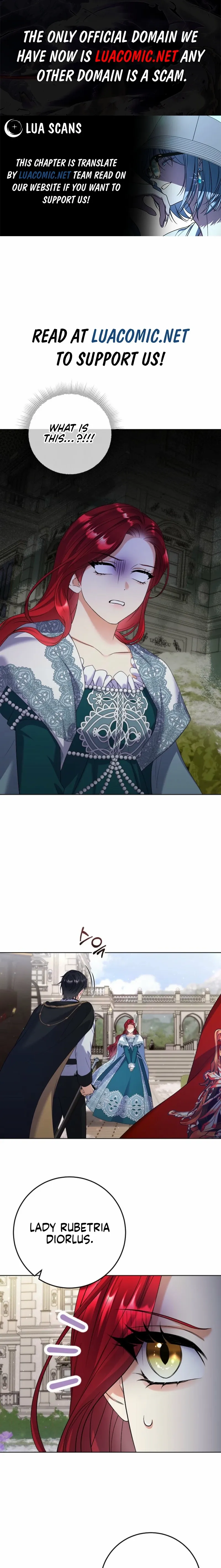 Read Celeb Lady Manga Online