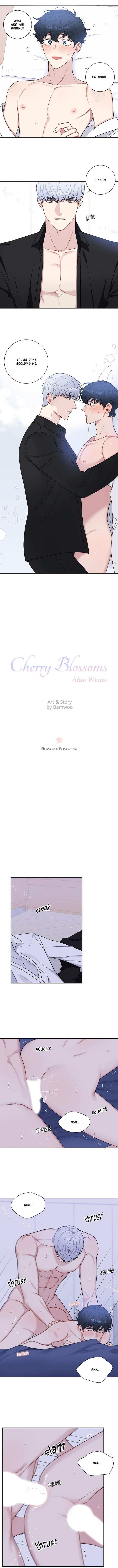 Read Cherry Blossoms After Winter Manga Online