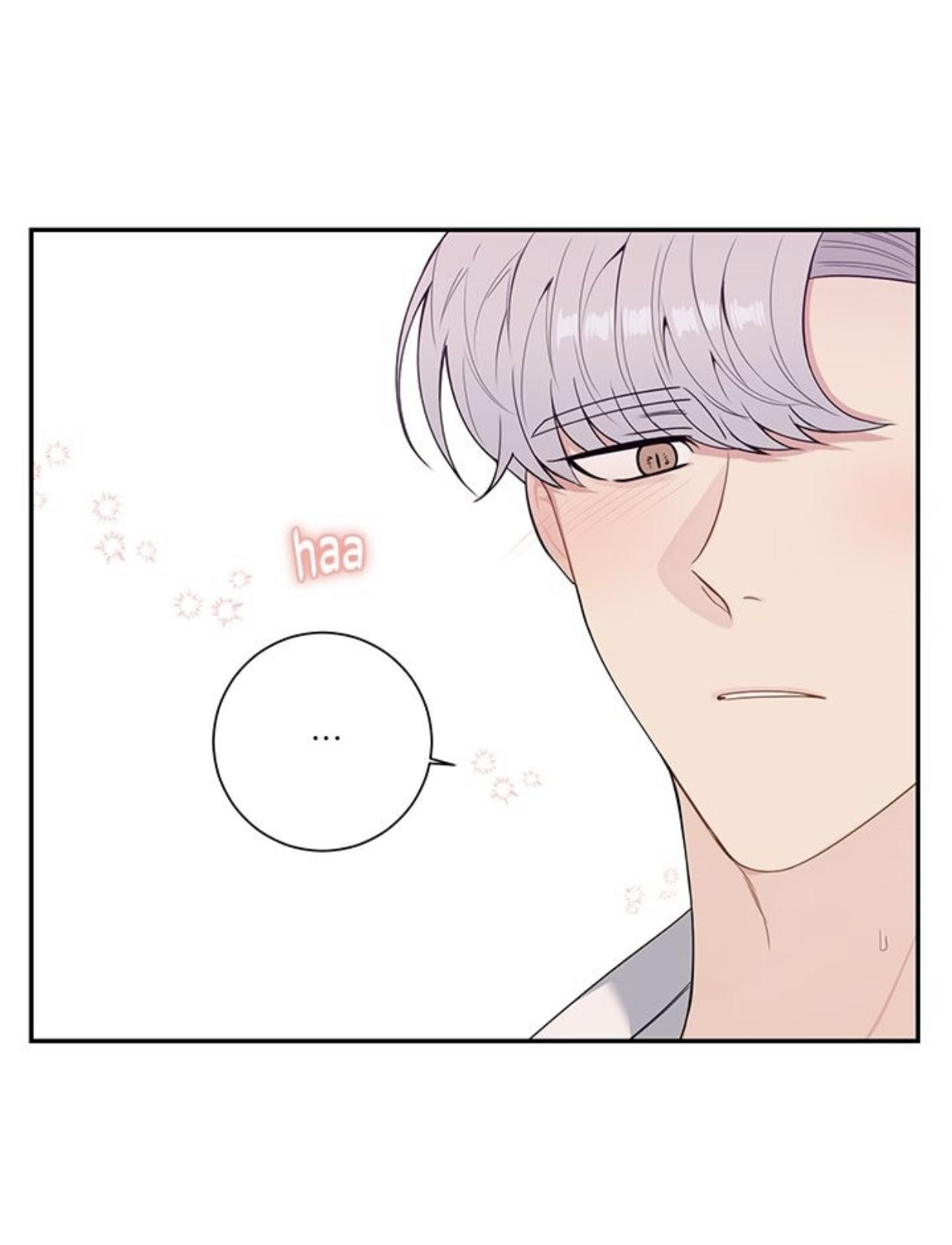 Read Cherry Blossoms After Winter Manga Online
