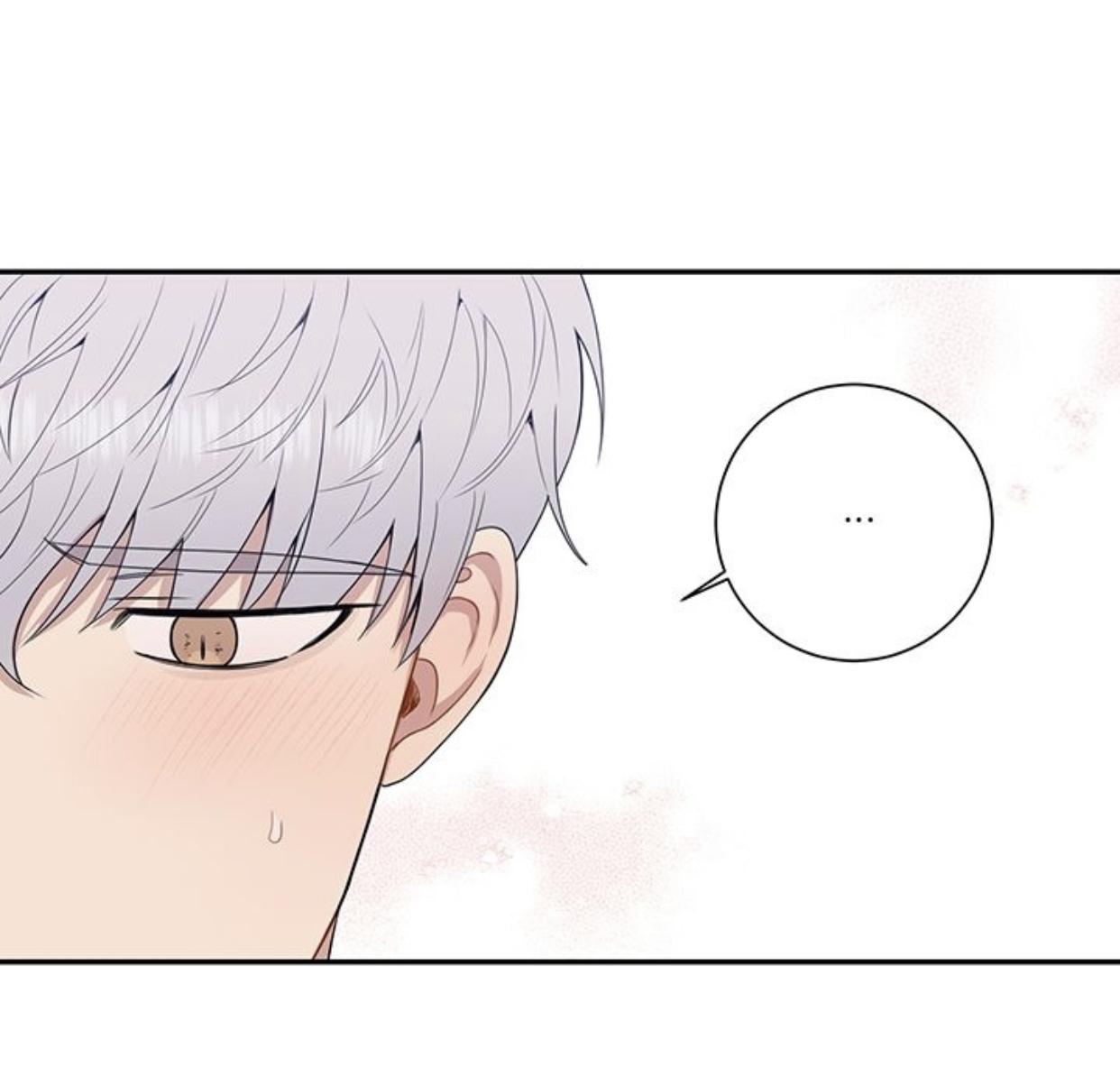 Read Cherry Blossoms After Winter Manga Online