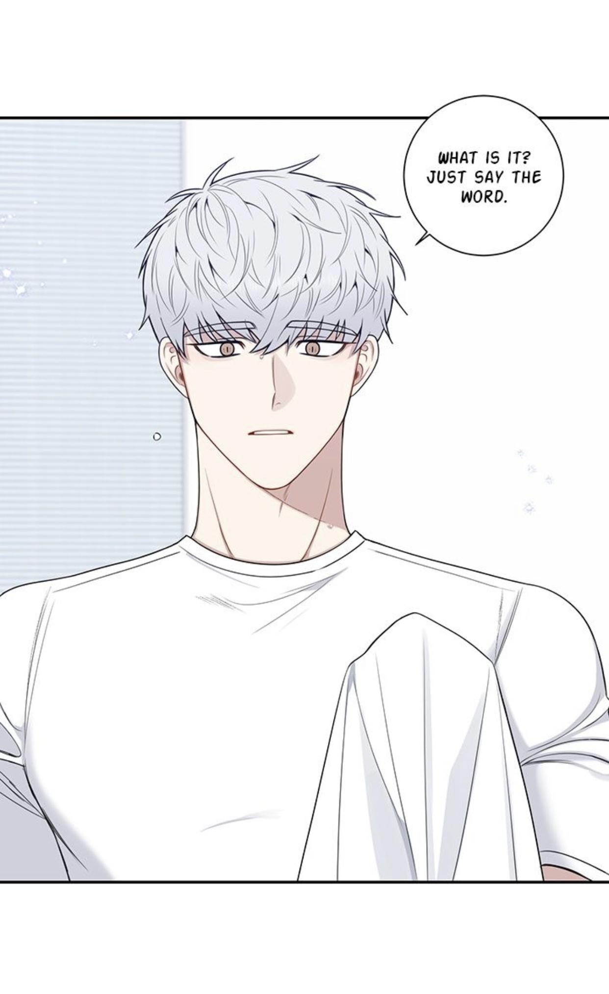 Read Cherry Blossoms After Winter Manga Online