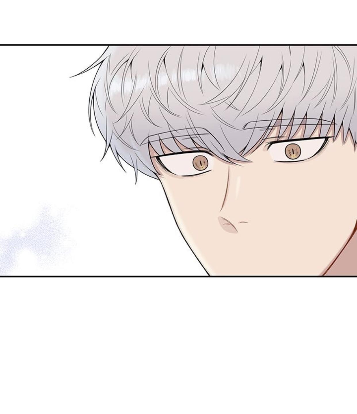 Read Cherry Blossoms After Winter Manga Online