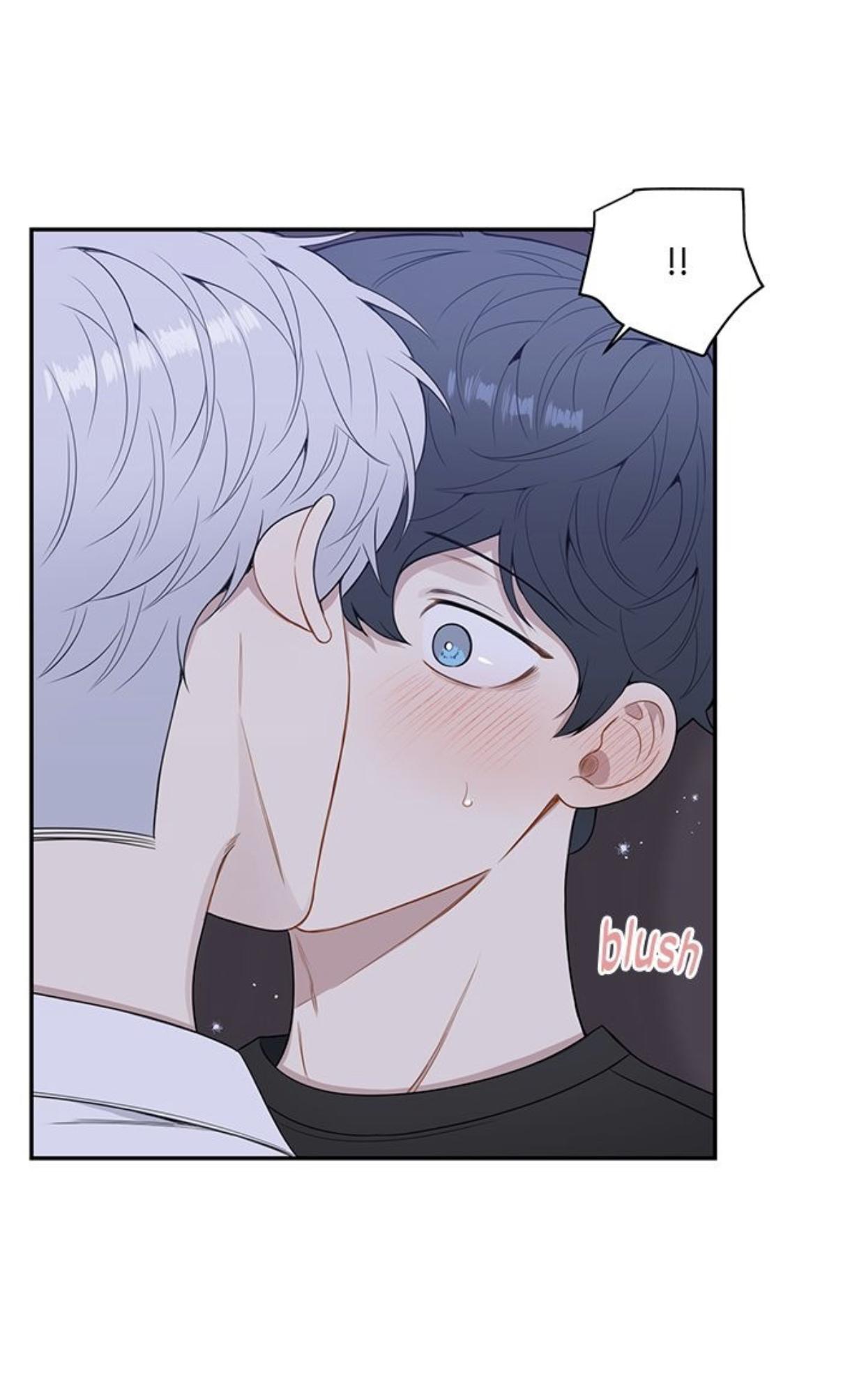 Read Cherry Blossoms After Winter Manga Online