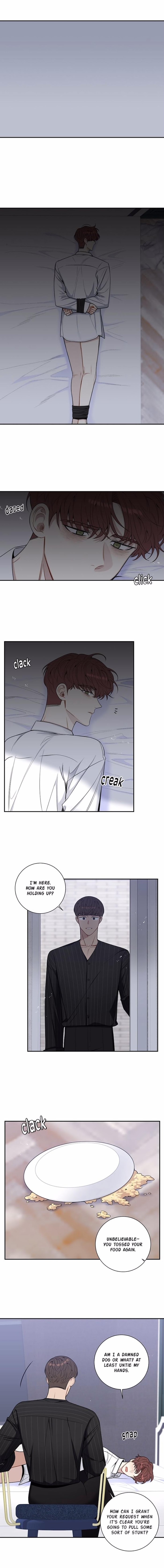 Read Cherry Blossoms After Winter Manga Online