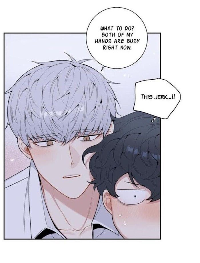 Read Cherry Blossoms After Winter Manga Online