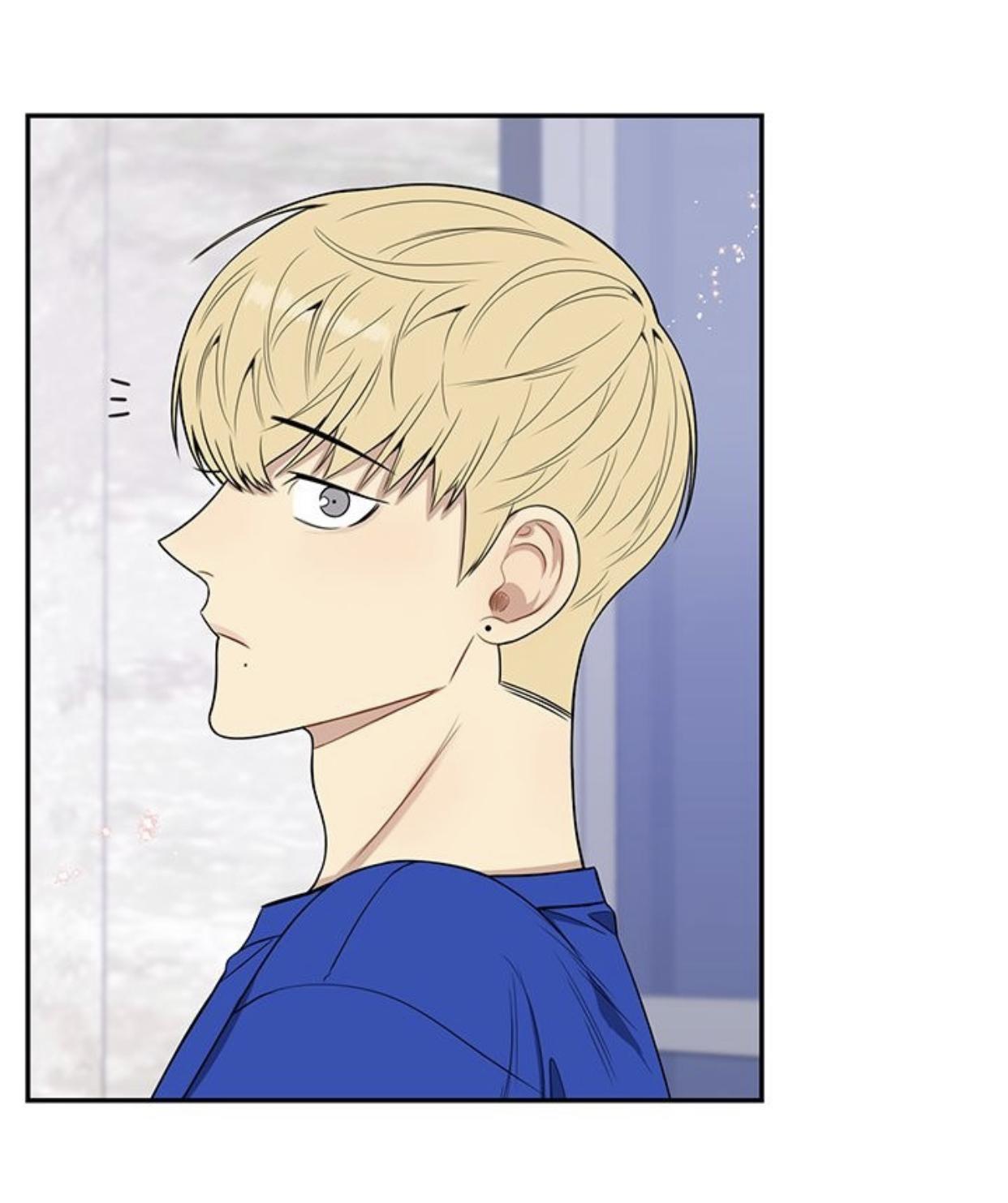 Read Cherry Blossoms After Winter Manga Online