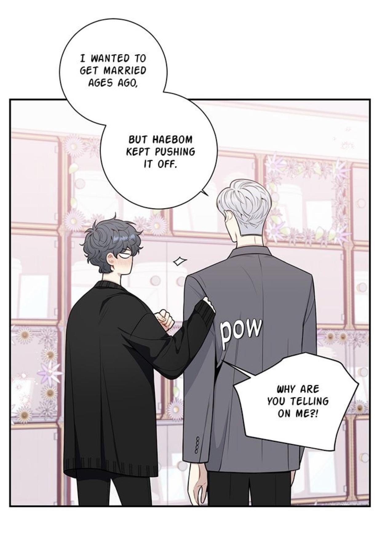 Read Cherry Blossoms After Winter Manga Online