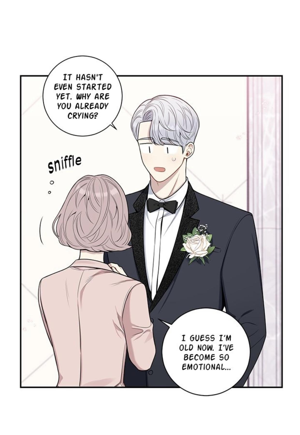 Read Cherry Blossoms After Winter Manga Online