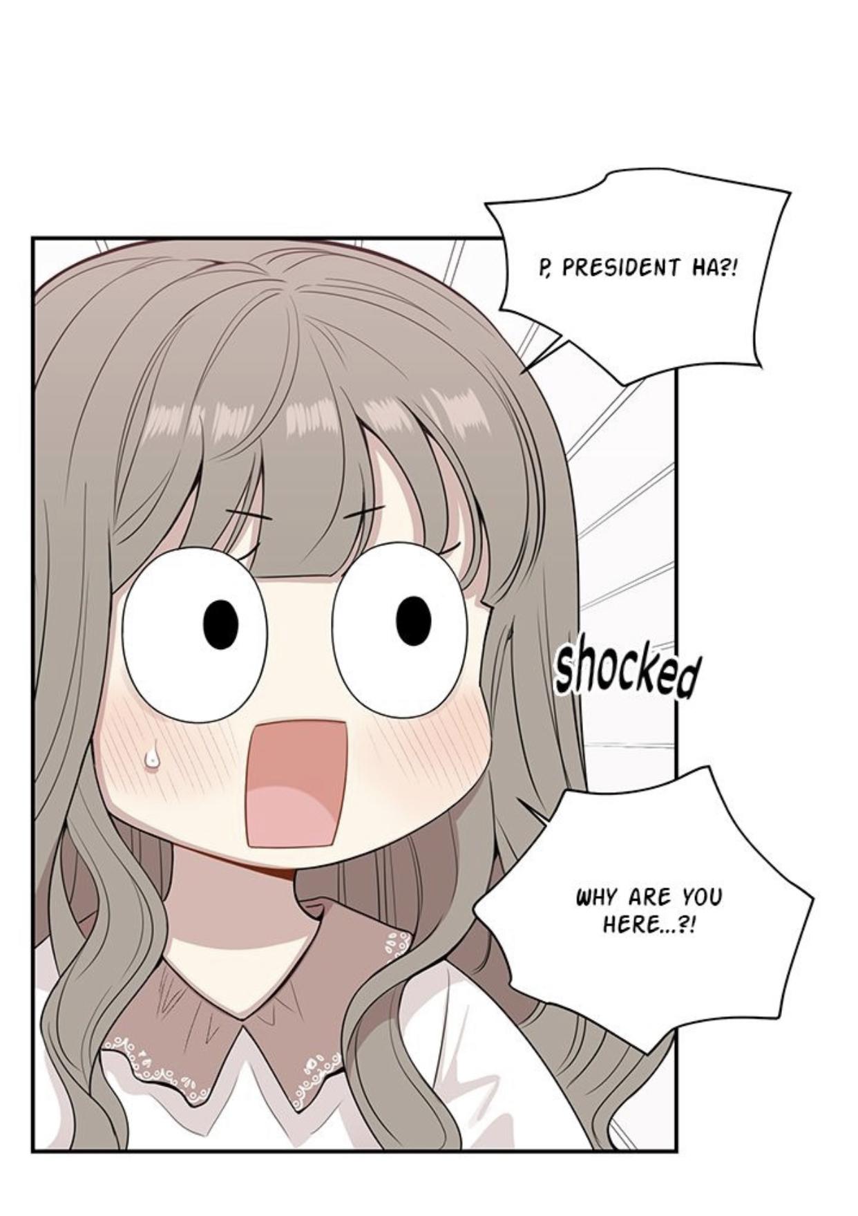 Read Cherry Blossoms After Winter Manga Online