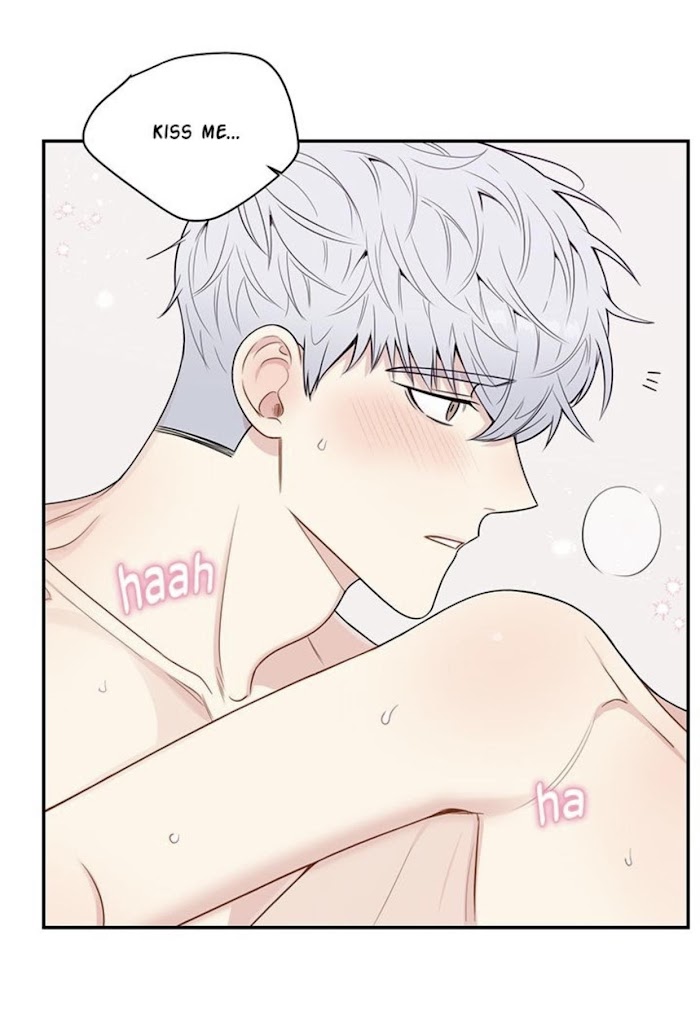 Read Cherry Blossoms After Winter Manga Online