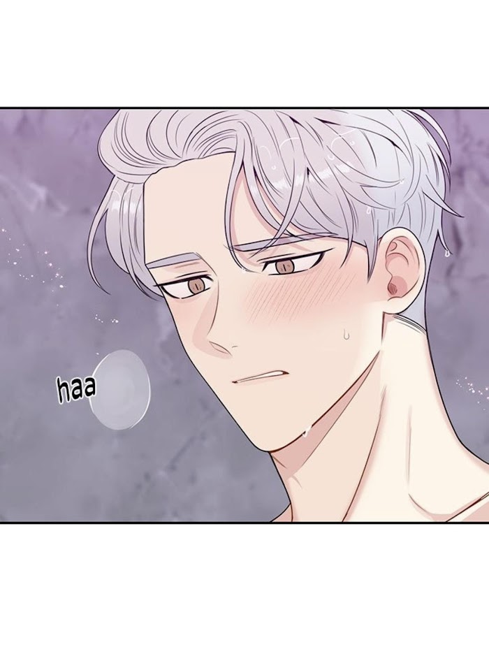 Read Cherry Blossoms After Winter Manga Online