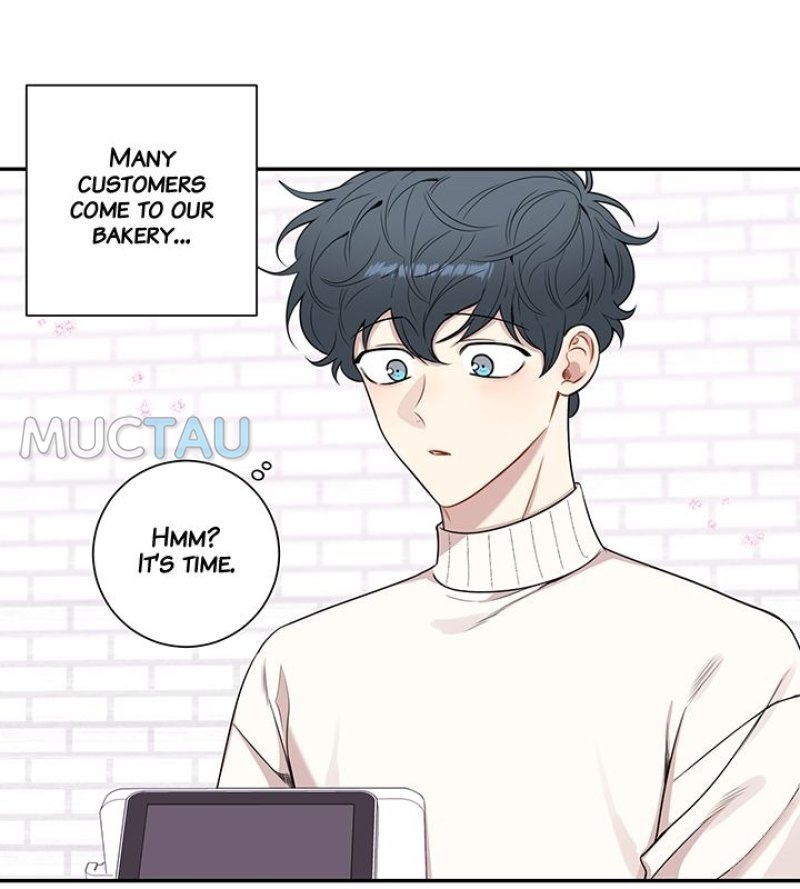 Read Cherry Blossoms After Winter Manga Online