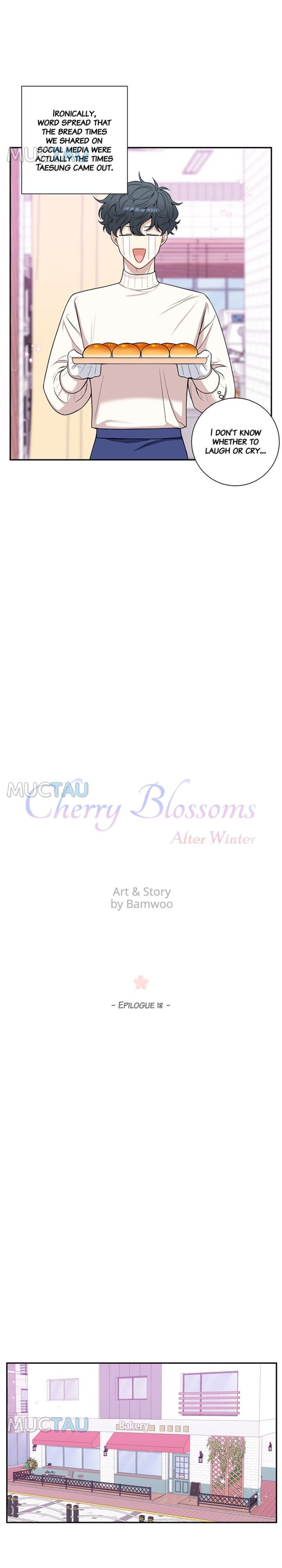 Read Cherry Blossoms After Winter Manga Online