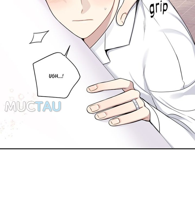 Read Cherry Blossoms After Winter Manga Online